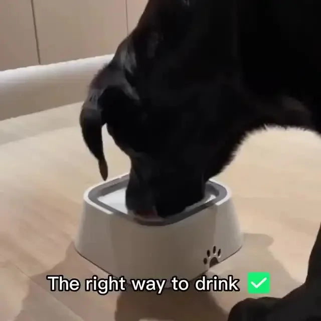 AquaGuard Water Bowl
