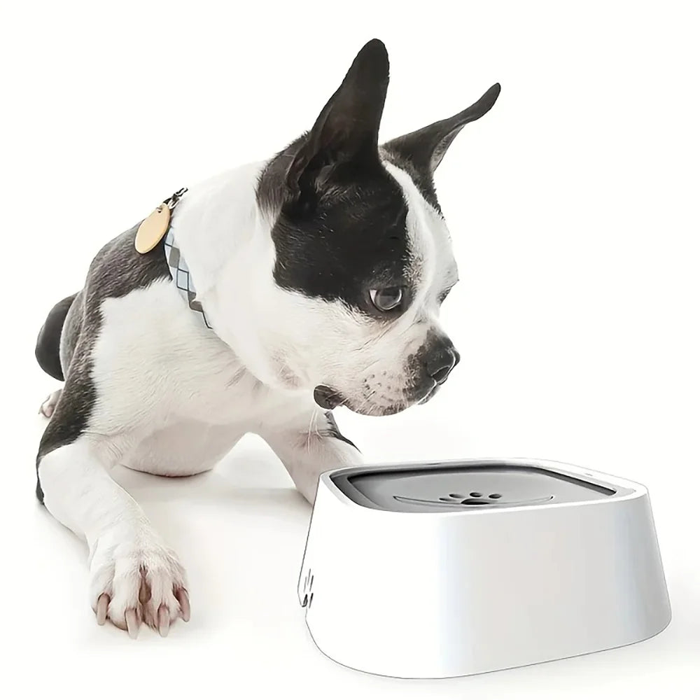 AquaGuard Water Bowl